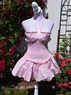 NWT Dollskill New Pink Backyard Picnic Fit N’ Flare Dress - Pink, Medium